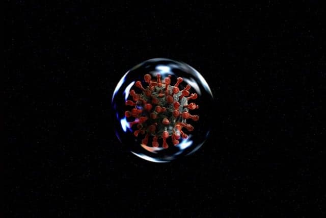 virus